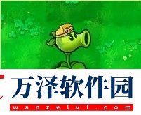 植物大戰(zhàn)僵尸西游版原版