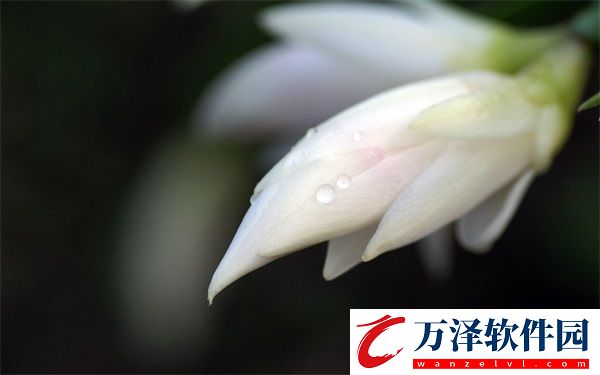 小霜的高中成長(zhǎng)日記9