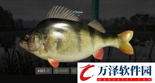 俄羅斯釣魚4最新版本