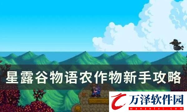 星露谷物語農作物要每天澆水嗎?農作物新手攻略