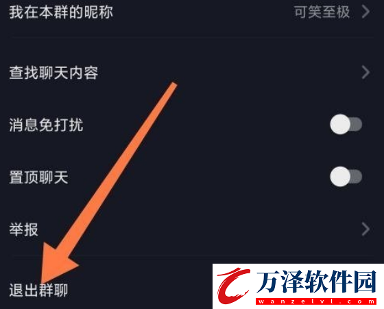 抖音極速版退出群聊怎么退