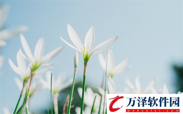 四個(gè)人換著玩的過(guò)程叫什么游戲呢