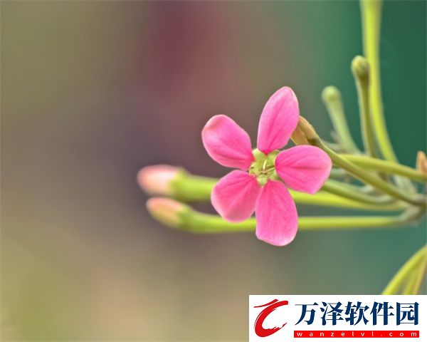 人馬大戰(zhàn)PYTHON代碼教程