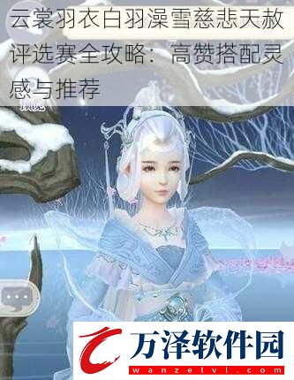 云裳羽衣白羽澡雪慈悲天赦評(píng)選賽全攻略