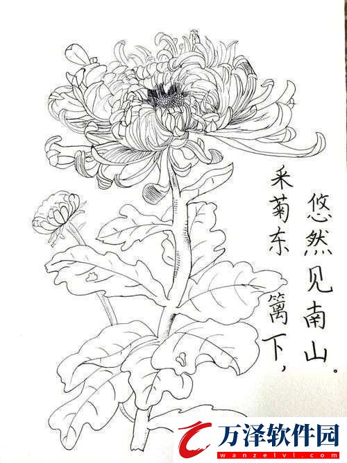 答錯(cuò)一題菊花放一支筆溫客行