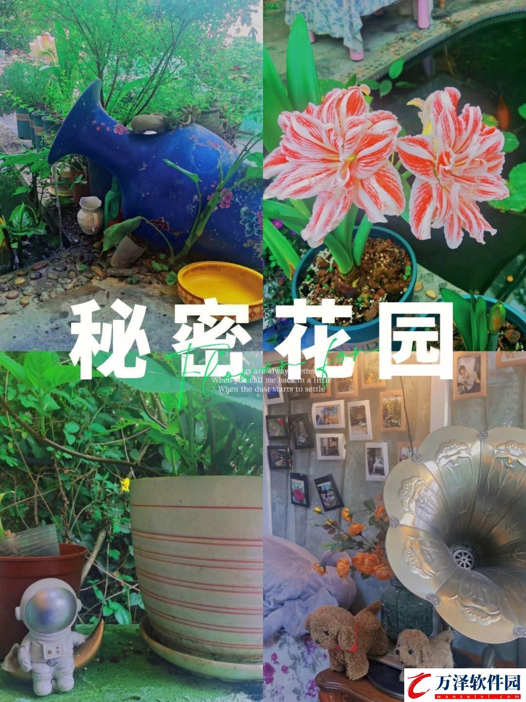 秘密花園的秘密