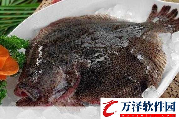 多寶魚是海魚還是淡水魚