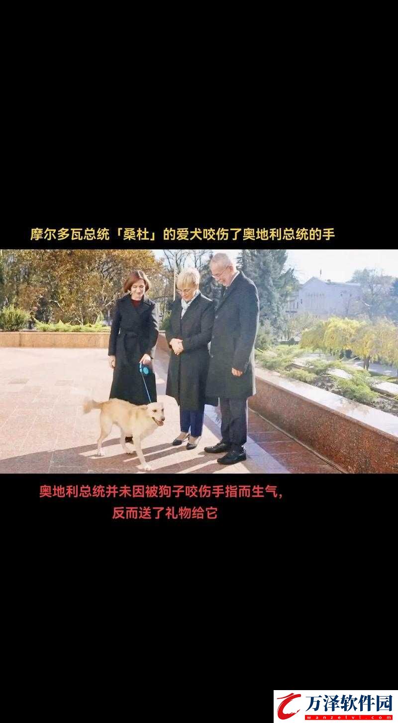 婆和我的狗老公怎么相處