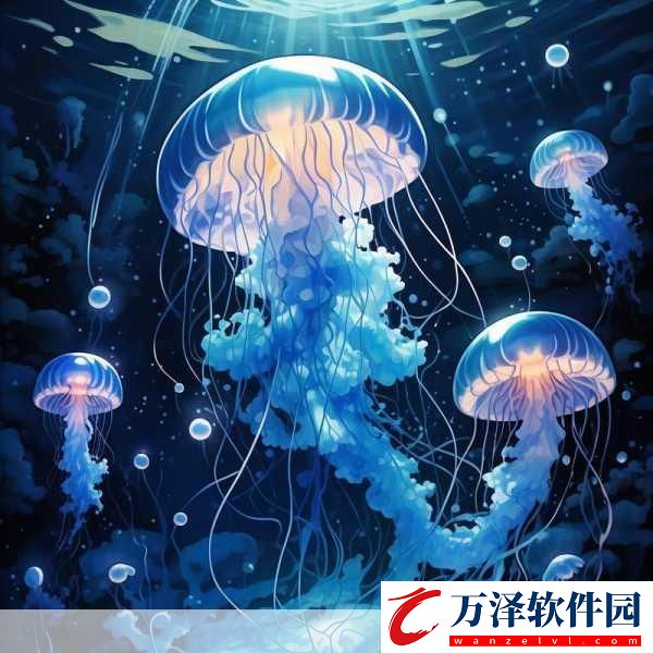 神奇海洋水母身上