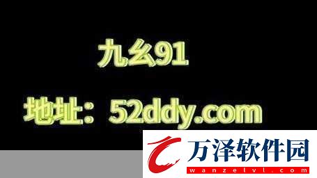 九幺高危風險9.1免費版安裝